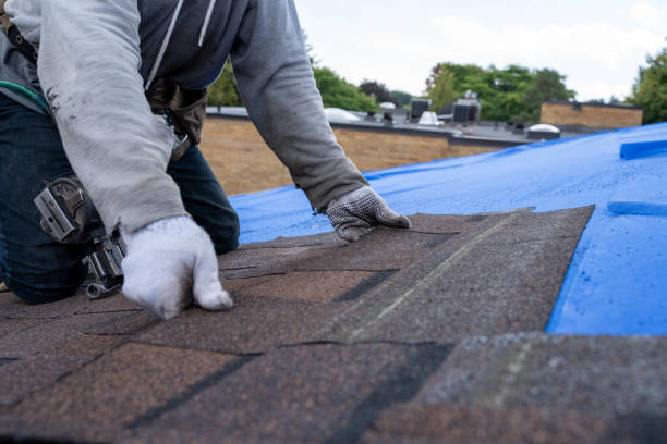 Residential Roof Replacement in Southgate, MI